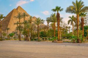 park-with-palm-trees-great-pyramids-cairo-egypt_219958-1231