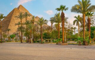 park-with-palm-trees-great-pyramids-cairo-egypt_219958-1231